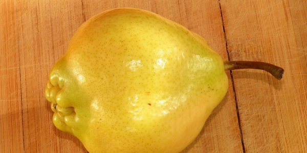 Find Your Rhythm in Equality City: Top Latin Dance Studios to Explore