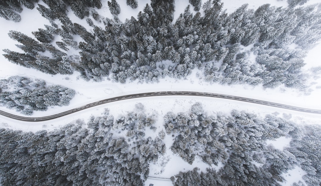 Best Tango Classes in Sunset City: A Dancer's Guide to Training Hubs and Milongas in 2024