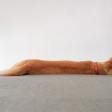 **Lincoln Center’s $50 Million Gift: A Game-Changer for Contemporary Dance?**
