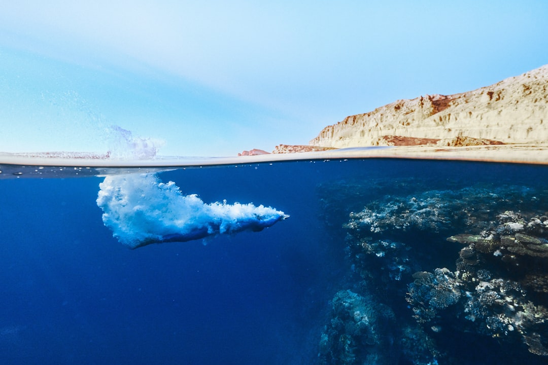 Ballet Beyond the Cornfields: Your Guide to Training Near Santee