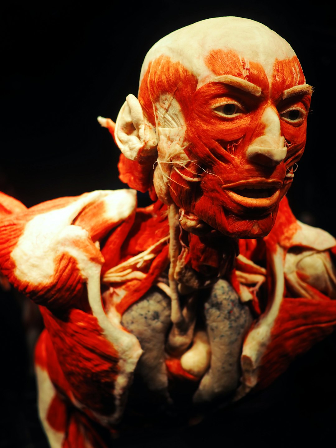"Mastering Folk Dance: Essential Tips for Intermediate Dancers"