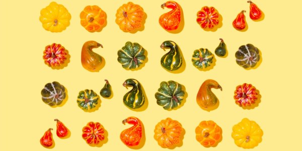 From Plies to Performance: Top Ballet Academies Near Kendale Lakes