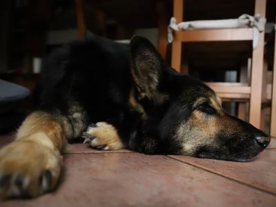 **Music to Move Your Zumba Soul**