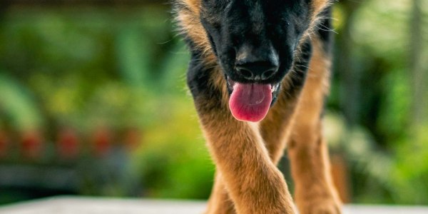 From Studio to Stage: How to Choose Dance Shoes That Elevate Your Practice