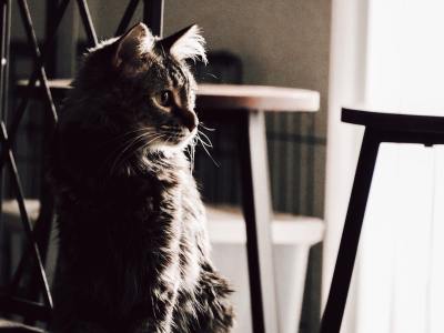 Beyond the Basics: Specialized Hip Hop Training in Stoutsville