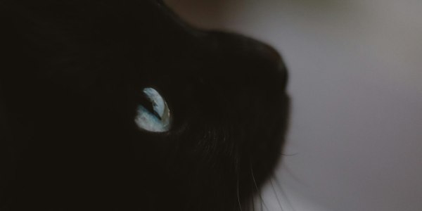 ## The Gori Nagori Dance Phenomenon: Why This Haryanvi Video Is More Than Just a Viral Hit