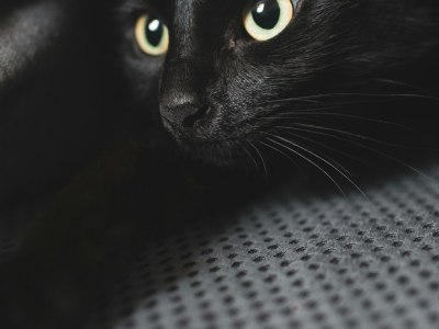 Your Guide to Breakdance Gyms and Crews in Rapid Valley City