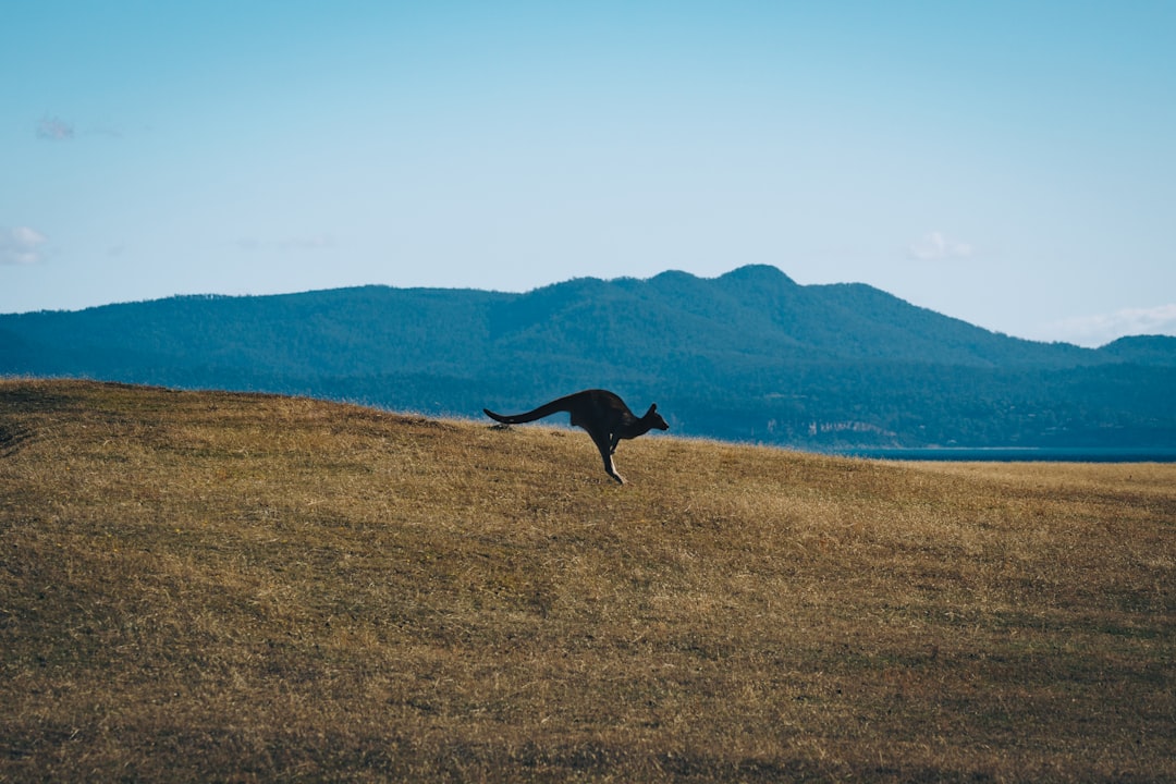 "I Tried Every Dance Studio in Piedra City. Here's What Actually Stands Out."