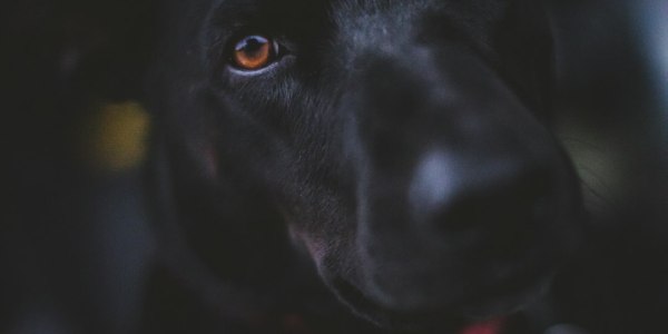 From Beginner to Champion: Irish Dance Training in Asbury Park