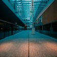 **Building Your Unique Movement Language: A Workshop for the Evolving Dancer.** Move beyond imitation and start developi...