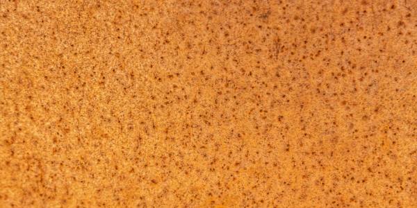 Beyond the Basics: Hip Hop Academies Shaping McKenzie City's Scene