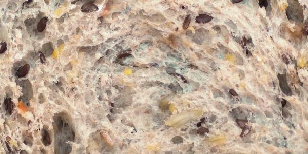 **NDT's Wildsong: A Hypnotic, Unsettling Dive into the Human Psyche**