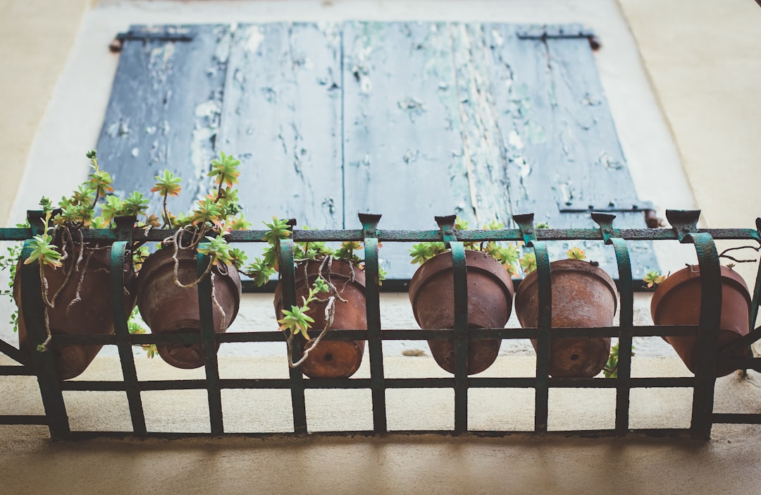 Beyond the Studio Walls: Finding Your Dance Home in Glendora