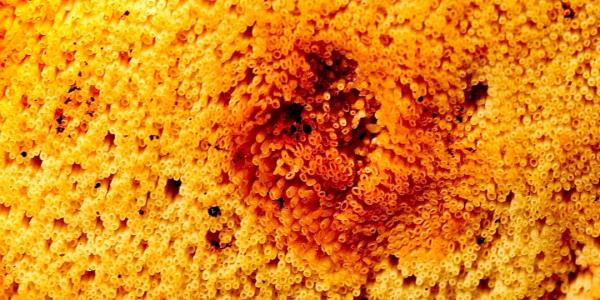 From Zero to Reel: Essential Tips and Simple Drills for New Irish Dancers.