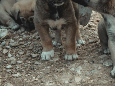 Swing into Rhythm: Top Dance Studios for Lindy Hop & Jitterbug in Kendrick City