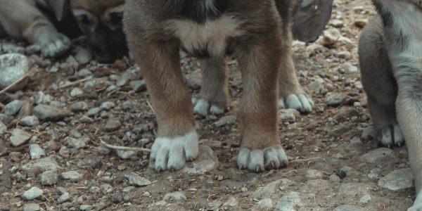 Swing into Rhythm: Top Dance Studios for Lindy Hop & Jitterbug in Kendrick City