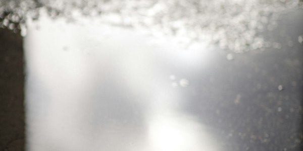 **The SexBomb Papas Steal the Show: Why We Love Seeing Partners in the Spotlight**