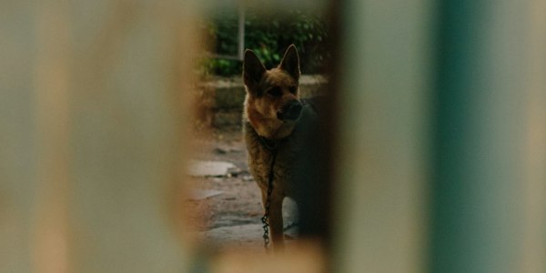 ## Gentleman Jack: Why This Ballet Is More Than Just a "Lesbian Story"