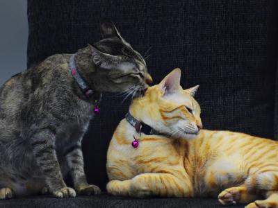 Your Guide to Cumbia Dance Classes in Wisconsin Rapids, WI