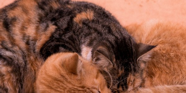 **The 2026 Beat Breakdown: Top Tracks Dominating Dance Floors Right Now**