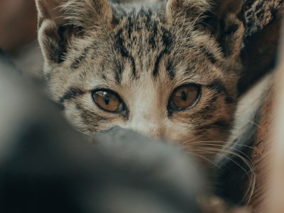 **Emotion in Every Note: Top Picks for Lyrical Dance Soundtracks**