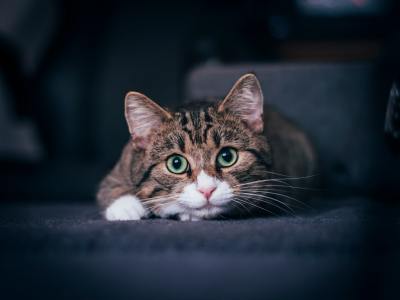 From Studio to Stage: The Producers Behind This Season's Hottest Club Anthems