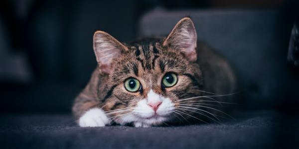 From Studio to Stage: The Producers Behind This Season's Hottest Club Anthems