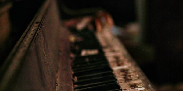 **From Social Dancer to Paid Performer: Your 5-Step Guide to Turning Pro in Tango.**