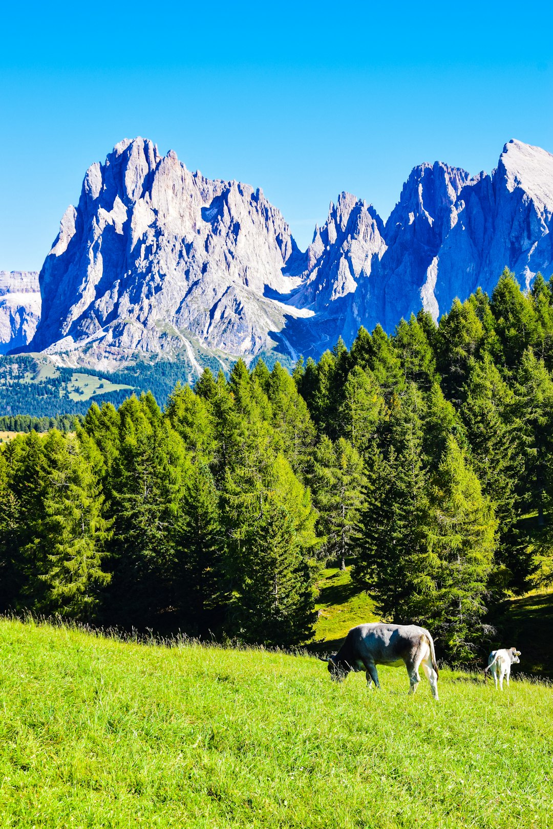 Standing Outside Your First Class in Bellville, Wondering Which Door to Walk Through