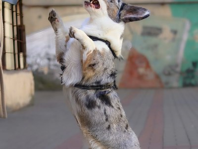 Tap Into Style: How to Choose Clothes That Move With You