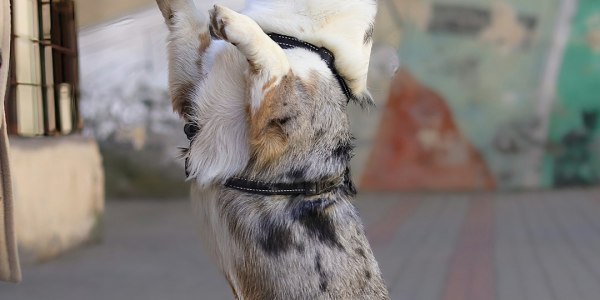 Tap Into Style: How to Choose Clothes That Move With You