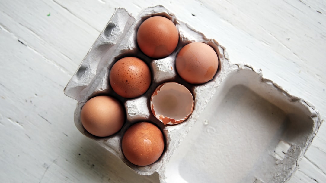 Born Twice: How to Truly Inherit the Spirit of Lindy Hop