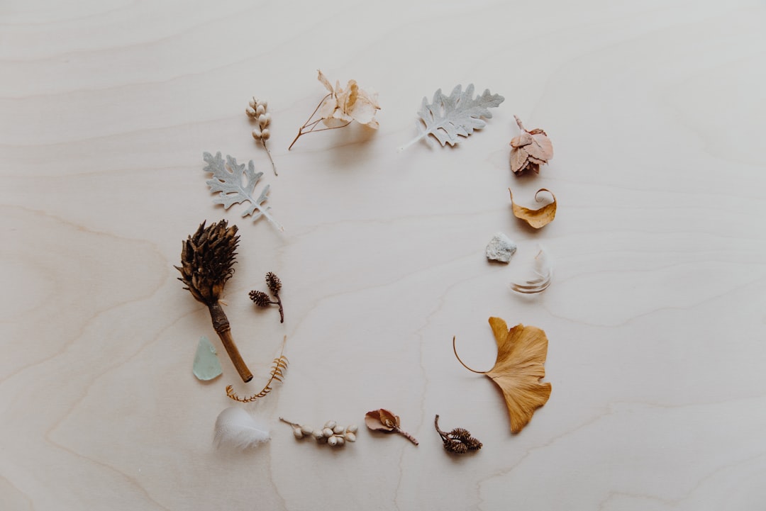 A Parent's Guide to Ballet Training in San Leandro: Evaluating Programs, Philosophies, and Outcomes