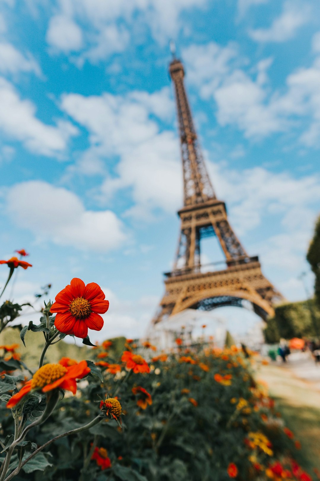 The Long Road to Pointe Shoes: Finding Real Ballet Training When You Live in La Moille
