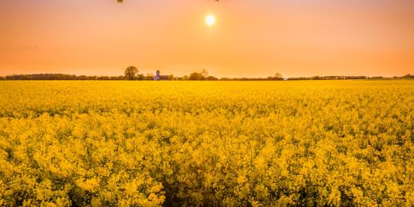 Unleashing the Power of Ballet: Top Training Institutions in Unadilla City, Nebraska