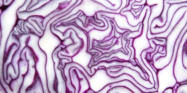 Montana's Rhythm: Finding Authentic Hip Hop Classes in Pray City