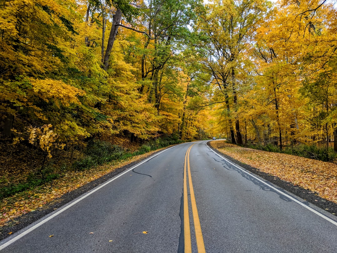 Choosing Your Ballet Home in Tuckahoe: A Dancer's Honest Field Guide