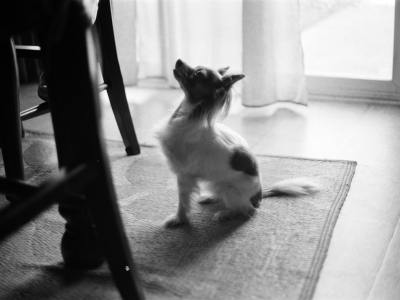 The Beat Breakdown: Top 5 Tracks Dominating Dancefloors Right Now