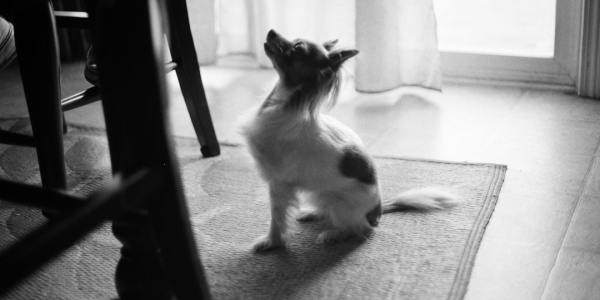 The Beat Breakdown: Top 5 Tracks Dominating Dancefloors Right Now