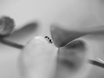 **From Beginner to Beat: Essential Music to Master Salsa Moves**