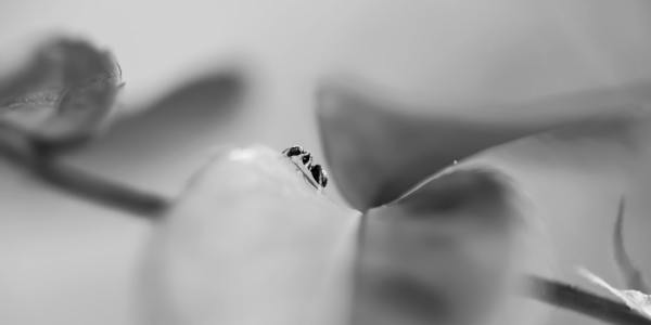 **From Beginner to Beat: Essential Music to Master Salsa Moves**