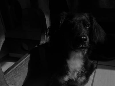 **Pulse & Flow: Top Electronic Tracks for Contemporary Movement**