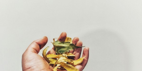 **Beyond the Slipper: Key Features for Choosing Lyrical Footwear**