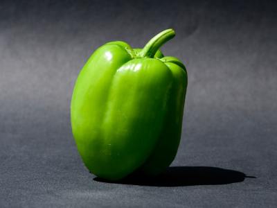 From Beginner to Pro: Your Essential Roadmap to a Professional Salsa Career