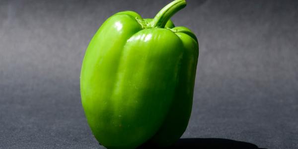 From Beginner to Pro: Your Essential Roadmap to a Professional Salsa Career