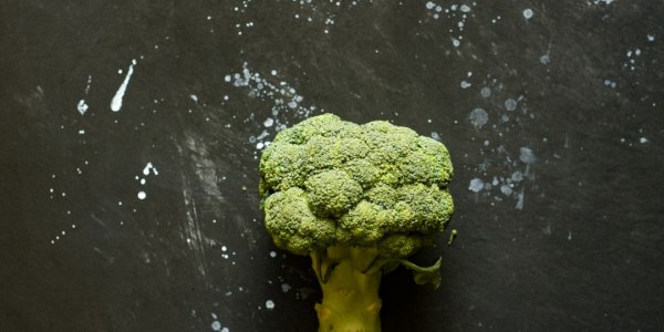 Your Guide to Folk Dance Training in Maitland City, Pennsylvania