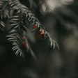 **