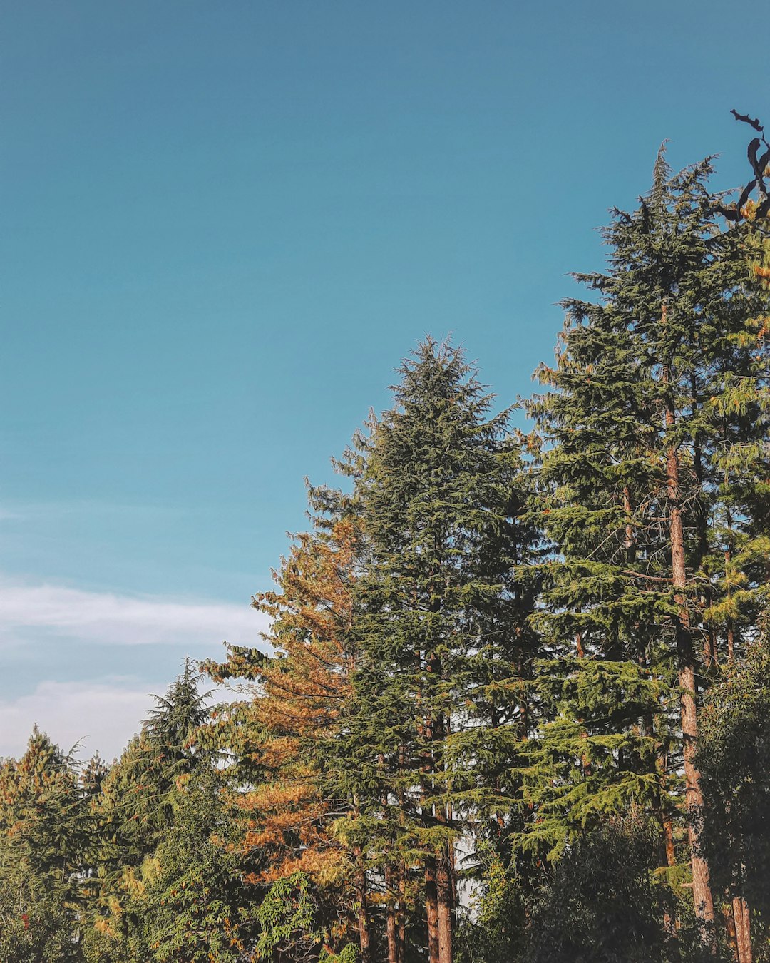 The Rise of Silent Reading Parties: Finding Connection in Communal Solitude