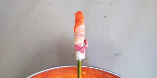 Jamestown's Next Steps: Spotlight on Premier Dance Academies & Training Hubs