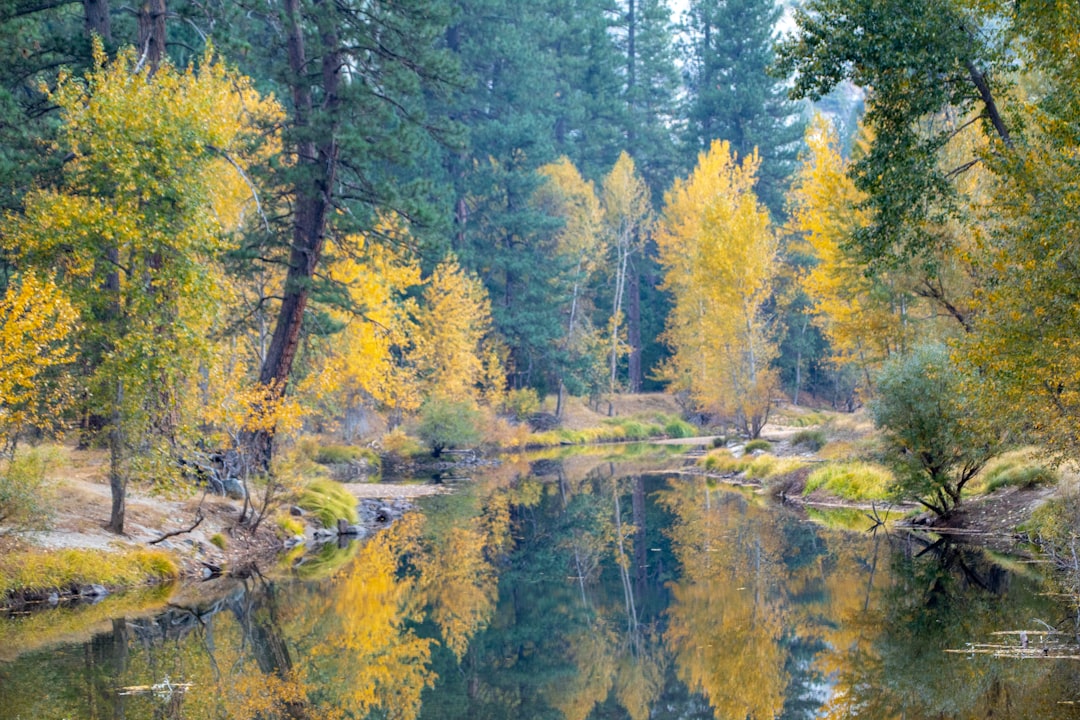 Tiny Village, Grand Jetés: Finding World-Class Ballet Just Minutes from Indian Springs Village